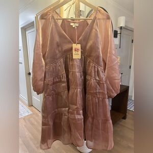 Entro Rose Satin Mini Dress